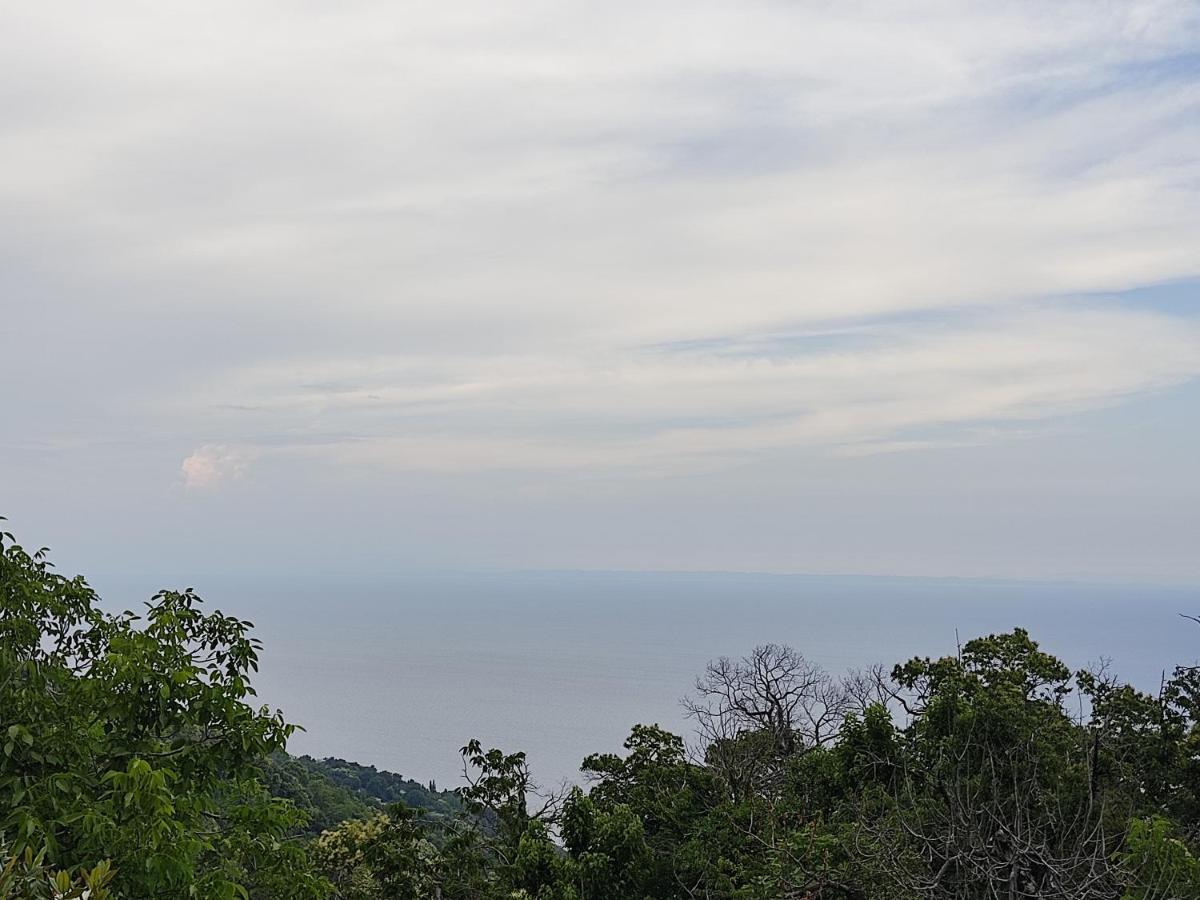 Villa Cozy Blue Stone House With A Great Sea View. Tsagkarada Exterior foto