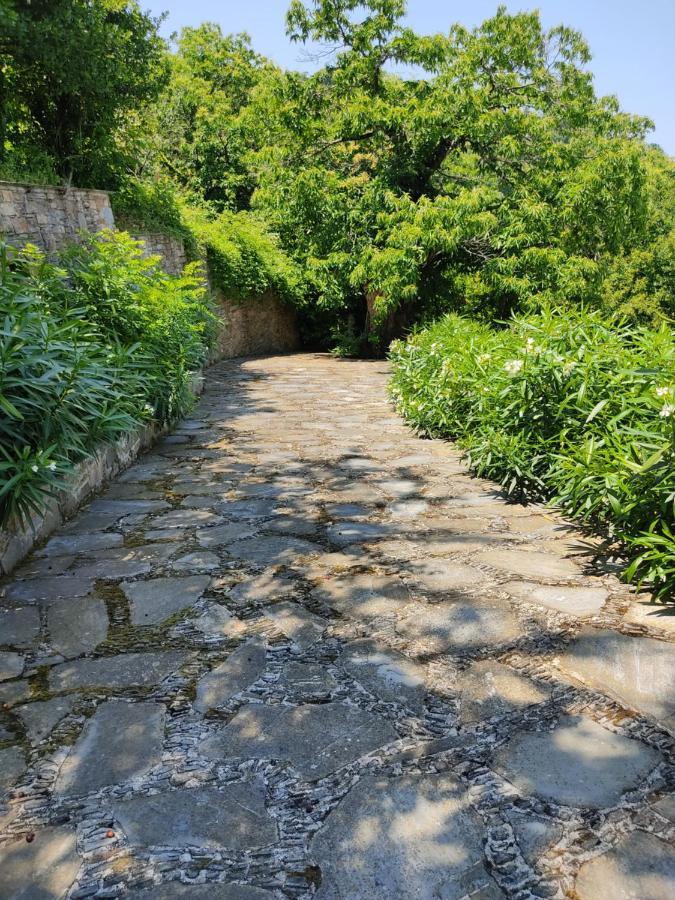 Villa Cozy Blue Stone House With A Great Sea View. Tsagkarada Exterior foto